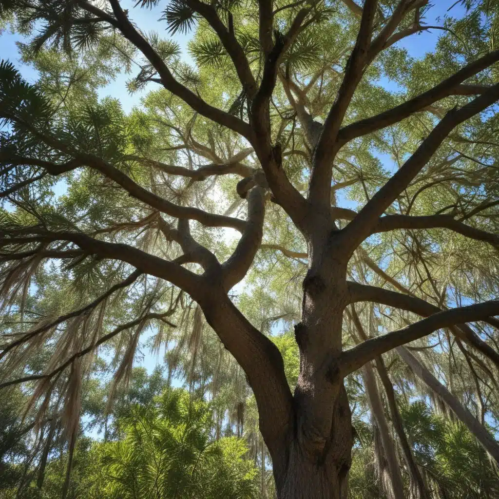 Adapting Tree Species Selection to Florida’s Changing Climate