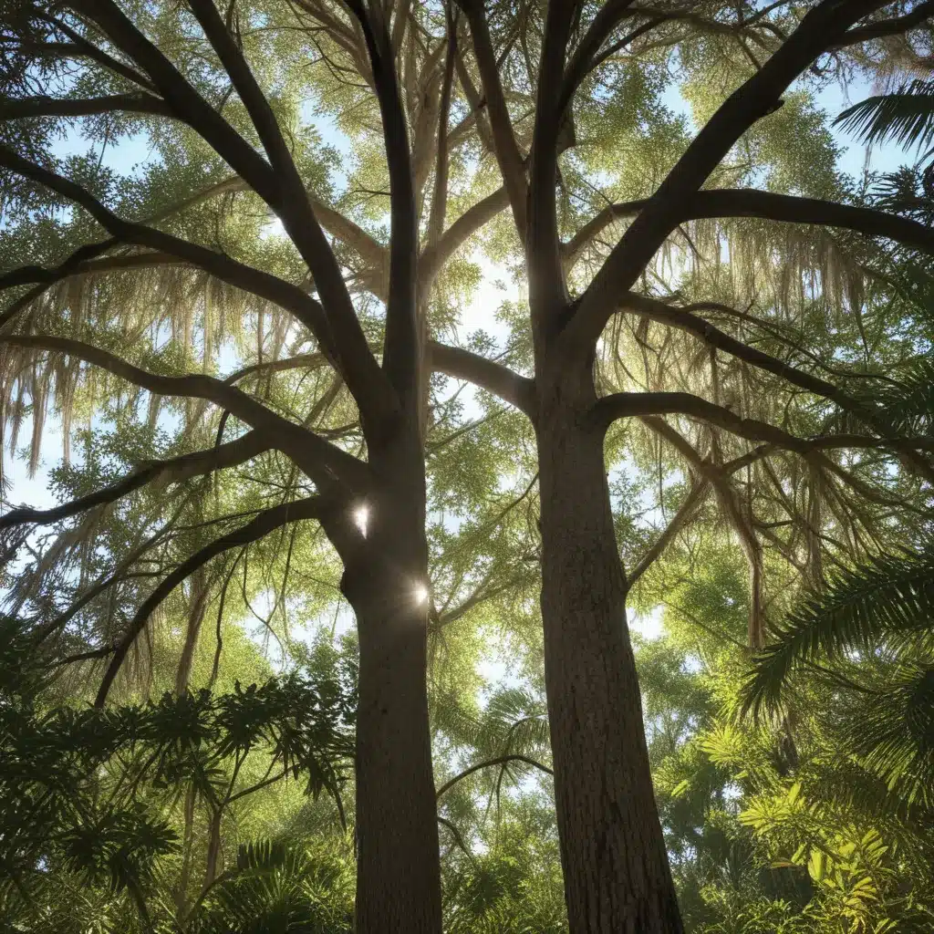 Adapting Tree Species Selection to Florida’s Changing Climate