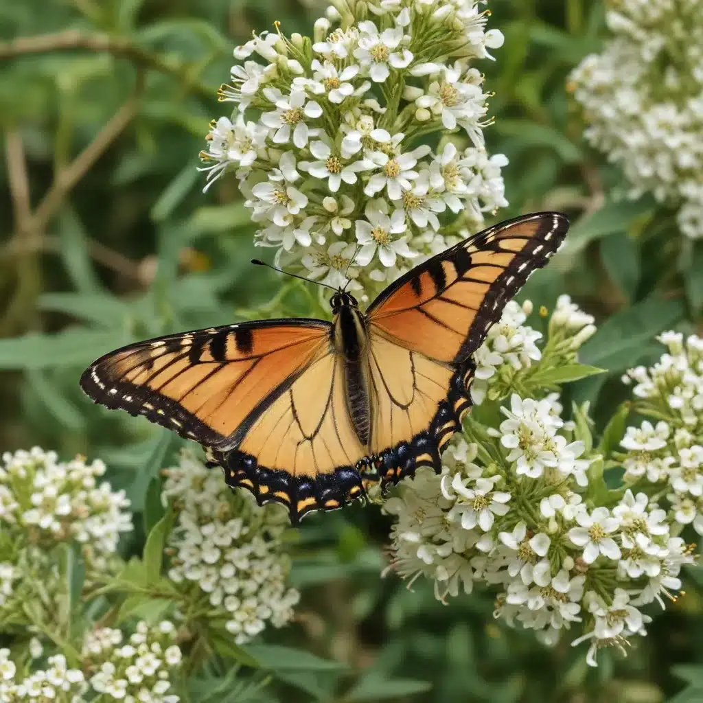 Attracting Butterflies and Bees: Pollinator-Friendly Tree Selections