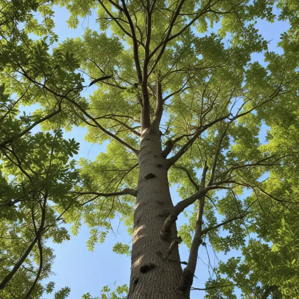 Branching Out: Attracting Wildlife with Native and Adapted Tree Species