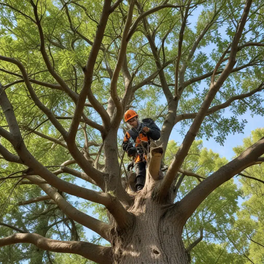 Branching Out: Exploring the Benefits of Selective Tree Thinning