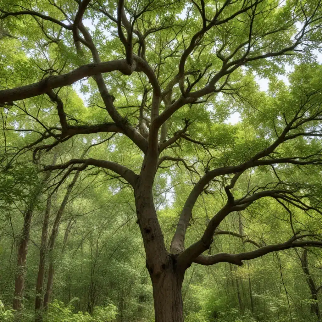 Branching into Biodiversity: Creating Habitats with Native Tree Species