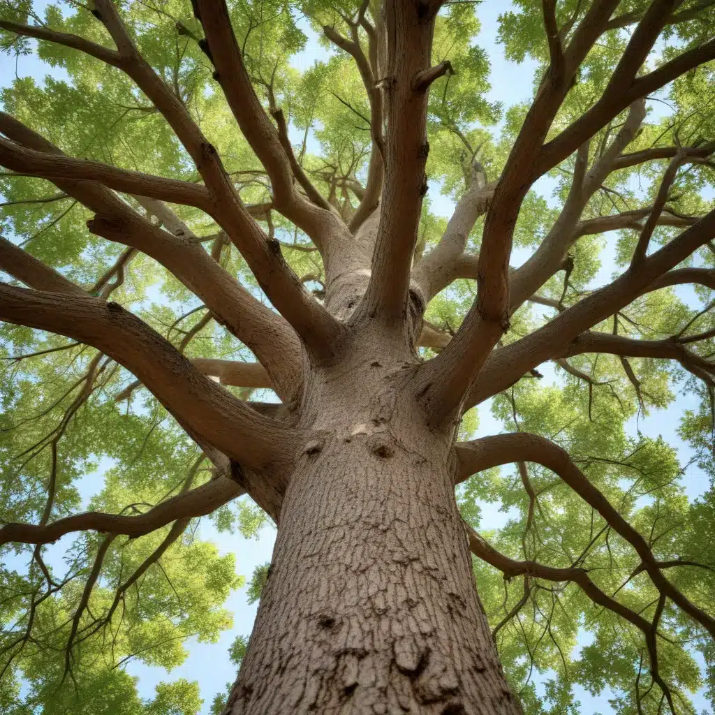 Demystifying Tree Health: An Essential Guide for Commercial Clients