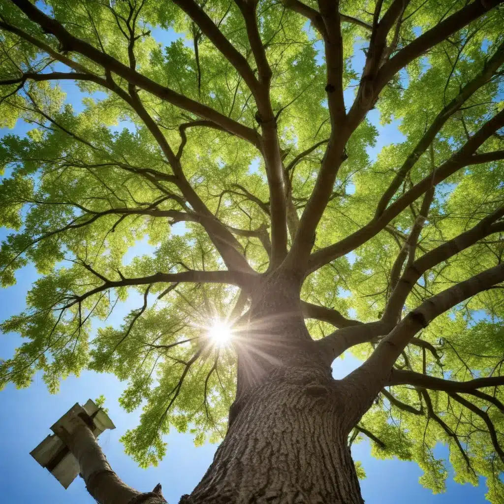 Eco-Friendly Tree Care: Sustainable Practices for a Greener Future