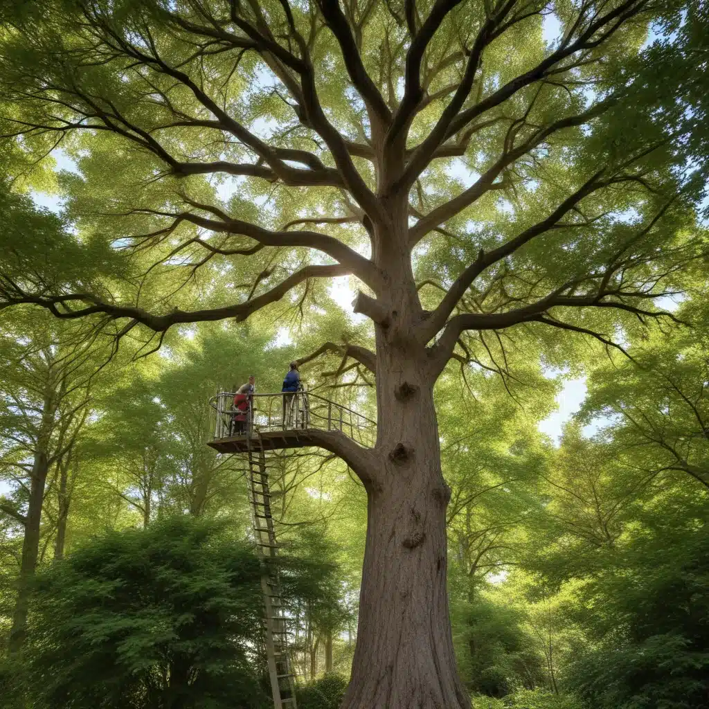 Elevating Your Landscape: Maximizing the Benefits of Strategic Tree Siting