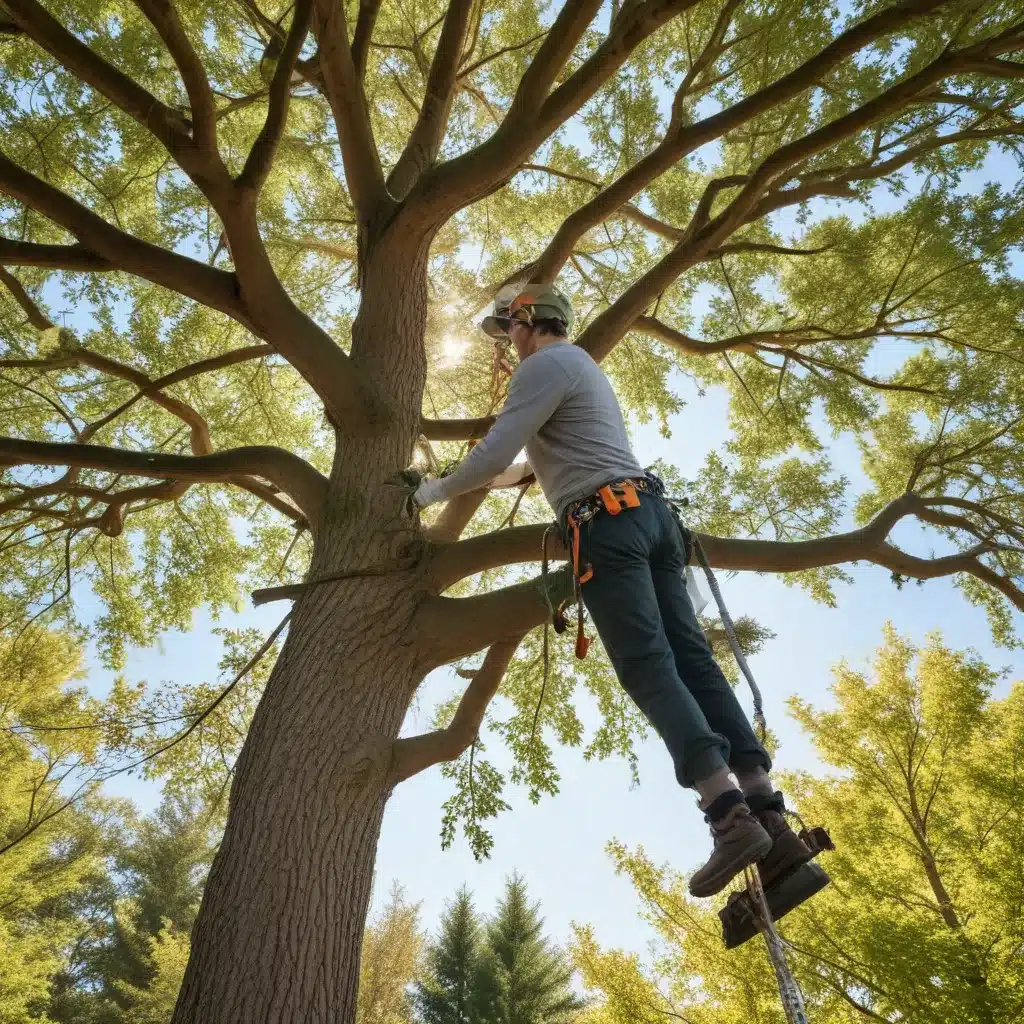 Elevating Your Outdoor Space: Transformative Tree Trimming Techniques