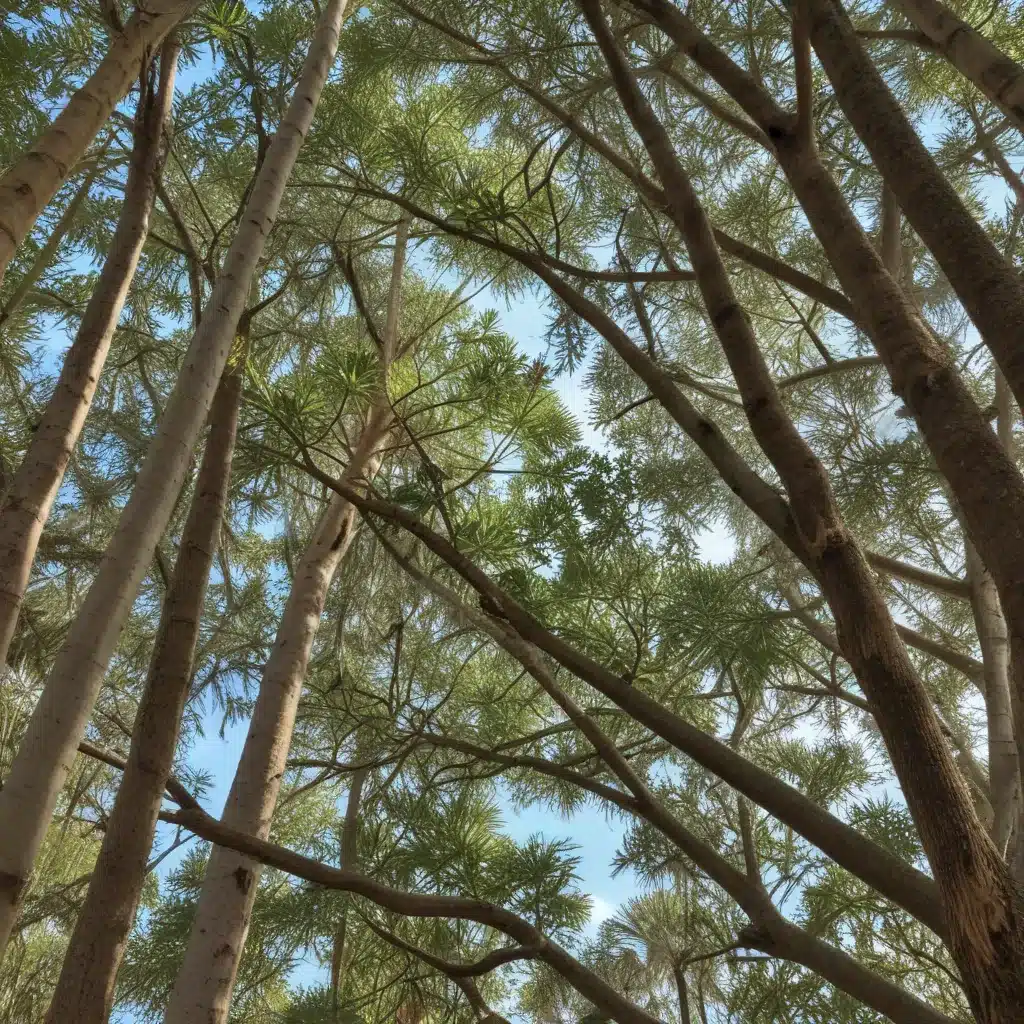 Embracing Florida’s Native Trees: Celebrating Local Biodiversity