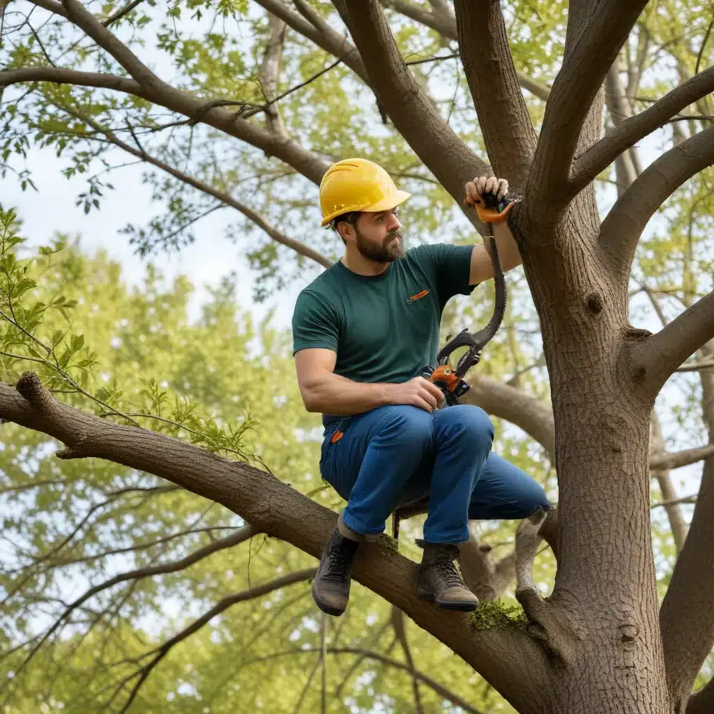 Empowering Homeowners: Pruning Techniques for Healthy, Attractive Trees