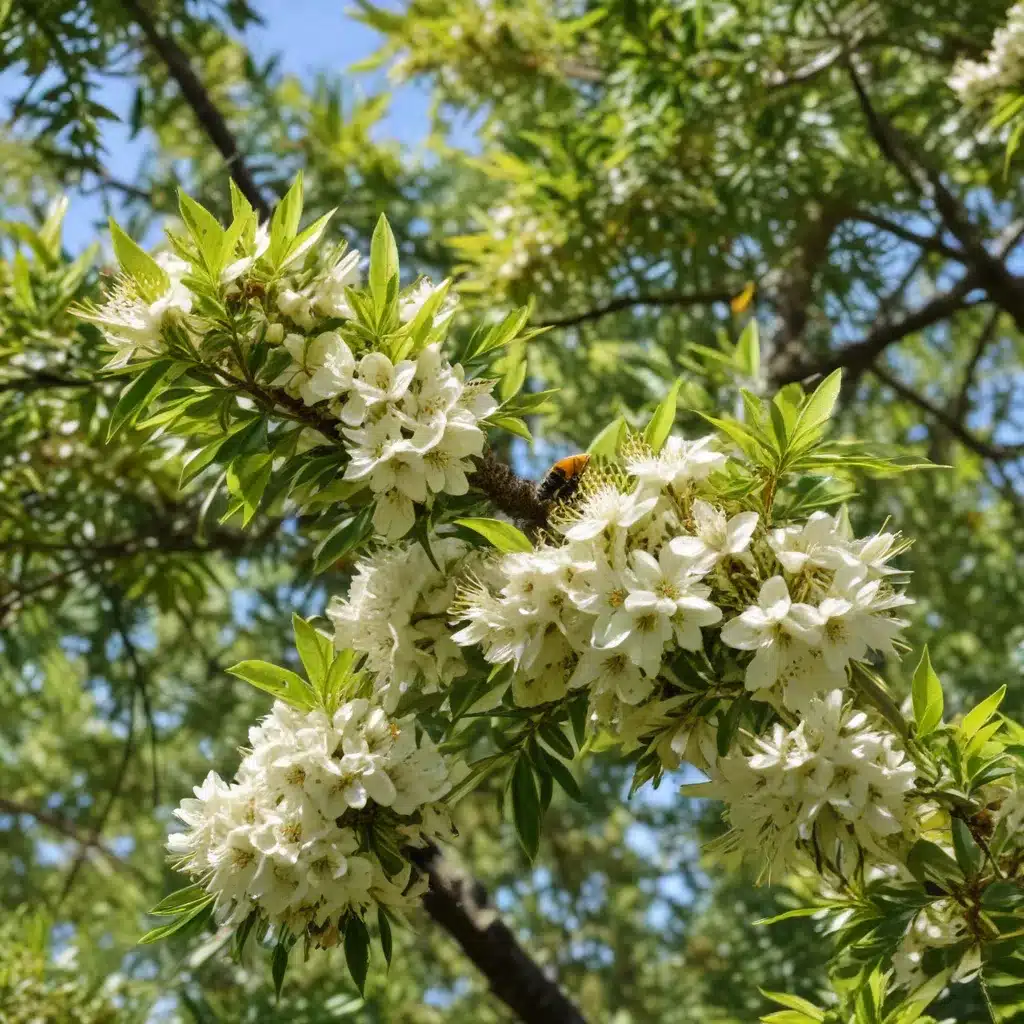 Enhancing Biodiversity with Native Trees: Attracting Wildlife and Pollinators