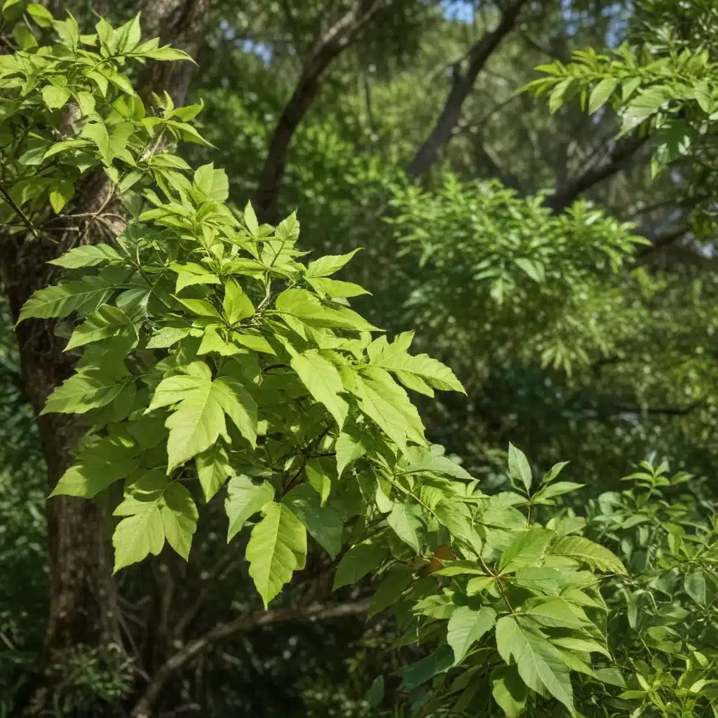 Eradicating Invasive Species: Protecting Your Florida Property’s Ecosystem