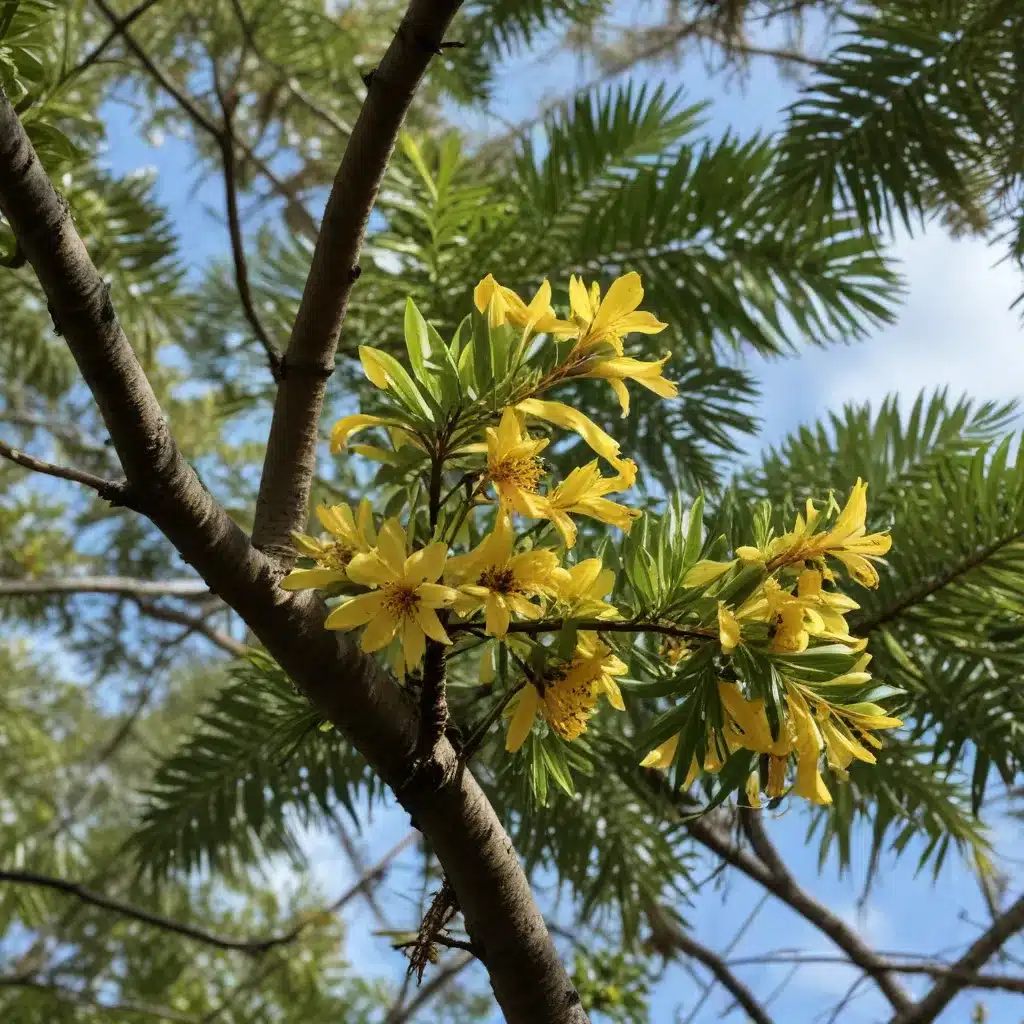 Fostering Biodiversity: Attracting Pollinators with Florida-Friendly Trees