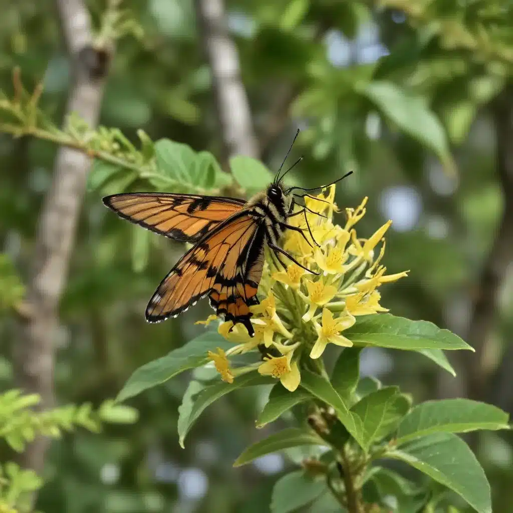 Fostering Pollinator Habitats: Attracting Wildlife with Florida-Native Trees