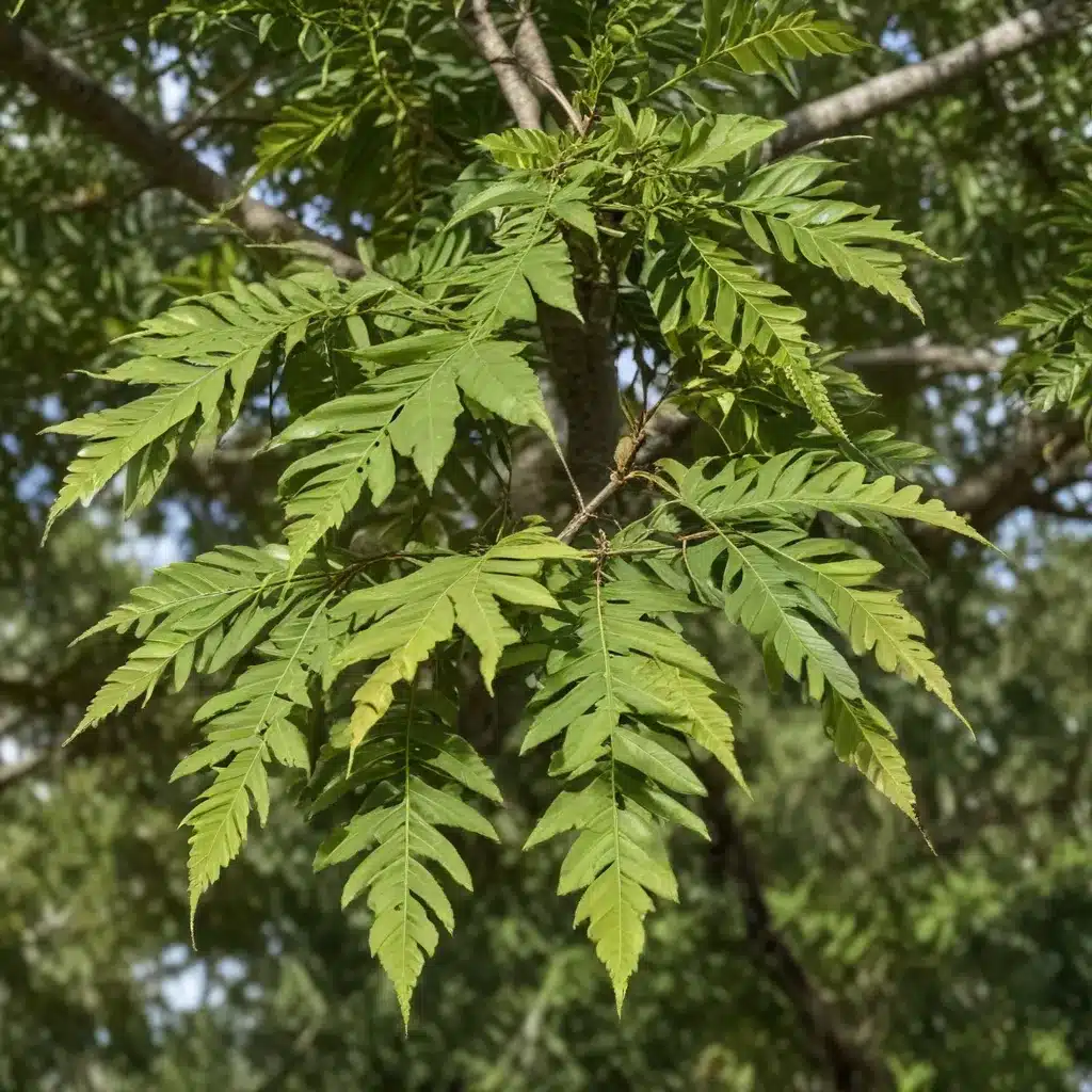 Identifying and Treating Common Tree Pests in Florida’s Gardens