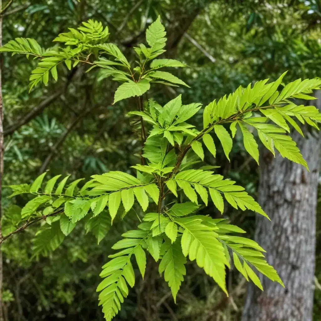 Invasive Species Identification: Safeguarding Your Florida Property