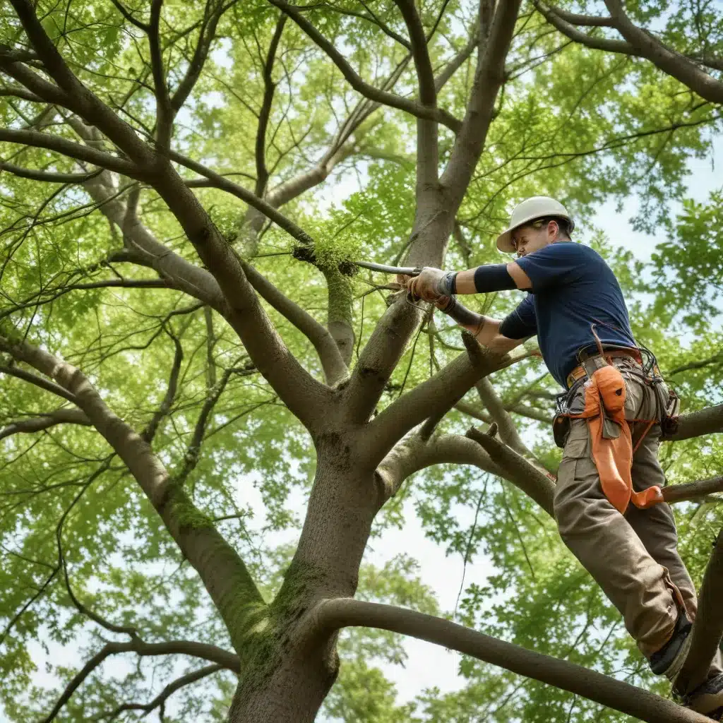 Mastering Tree Trimming: DIY Techniques to Keep Your Trees Thriving