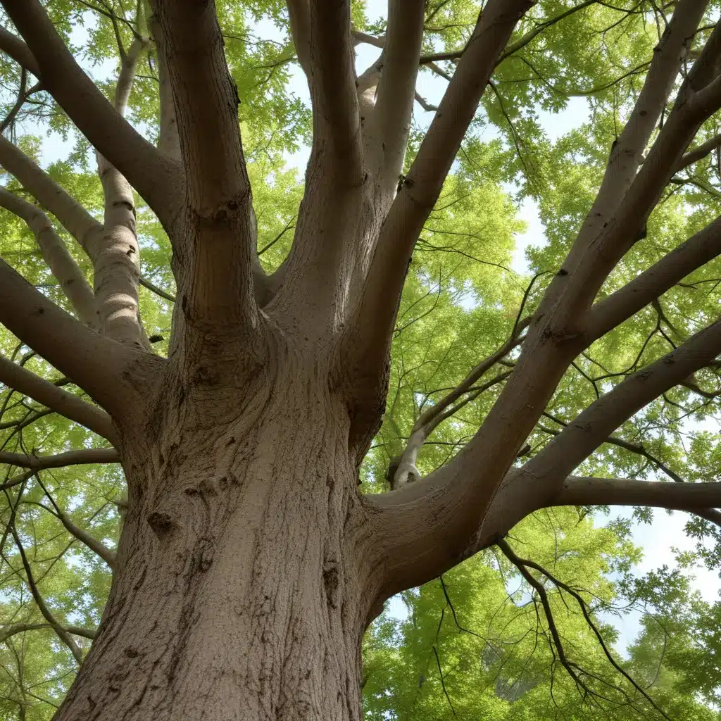 Navigating Tree Ordinances: Understanding Local Regulations for Responsible Care