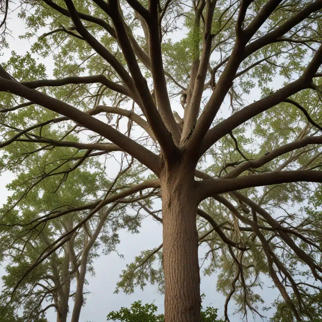 Navigating the Challenges of Hurricane Season: Tree Preparedness