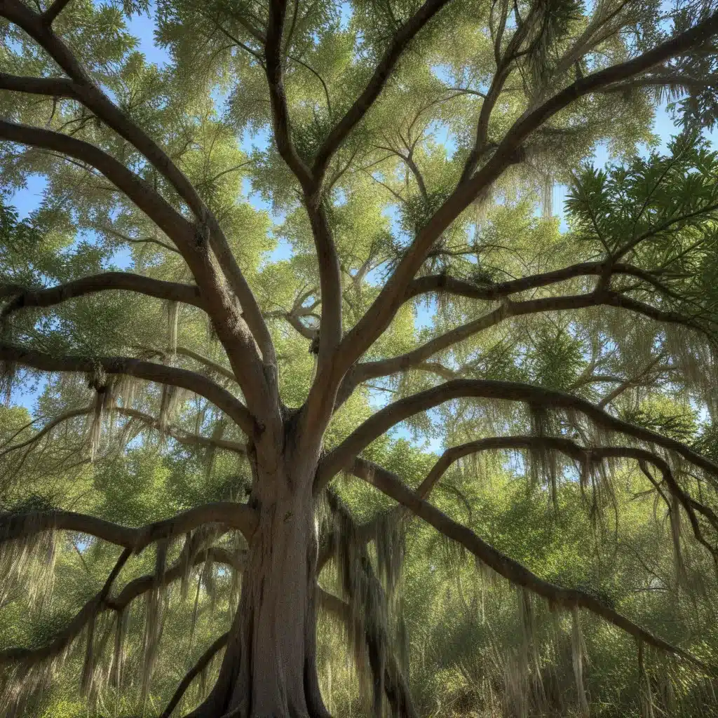 Nurturing Native Trees: Cultivating Resilience in the Florida Landscape