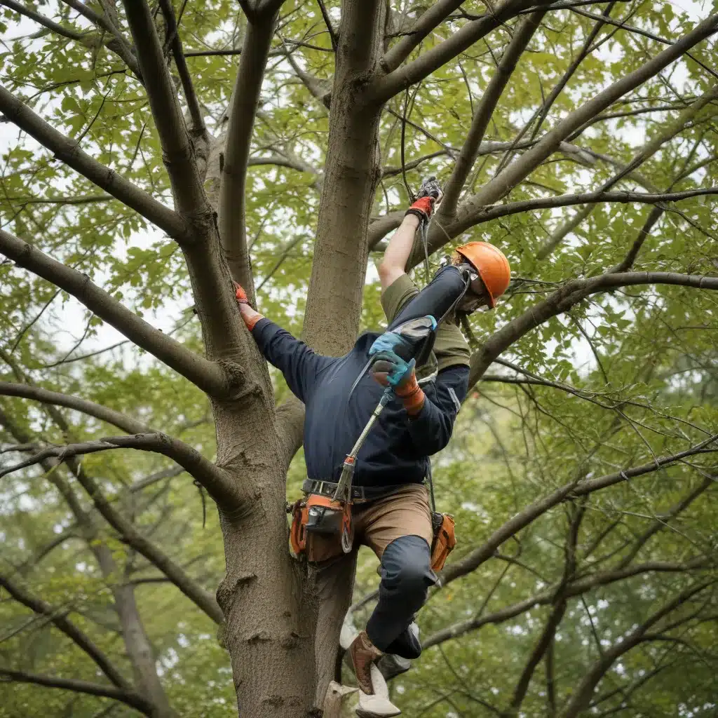 Optimizing Tree Health Through Innovative Pruning Strategies