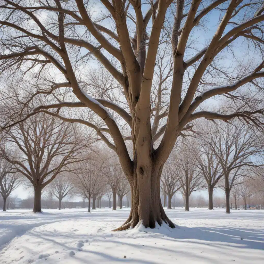 Protecting Commercial Trees from Harsh Winter Conditions: A Guide