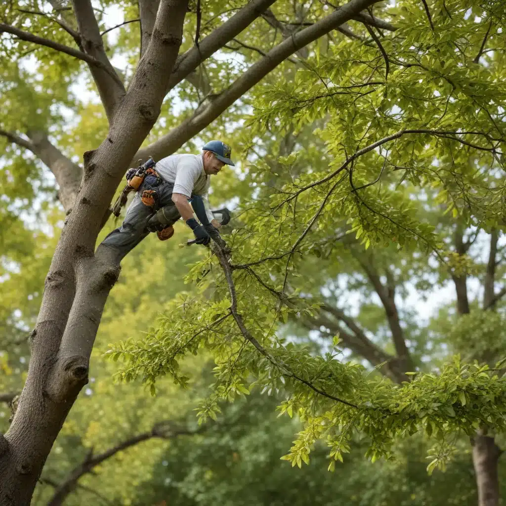 Pruning 101: Essential Tips for Healthy, Vibrant Trees