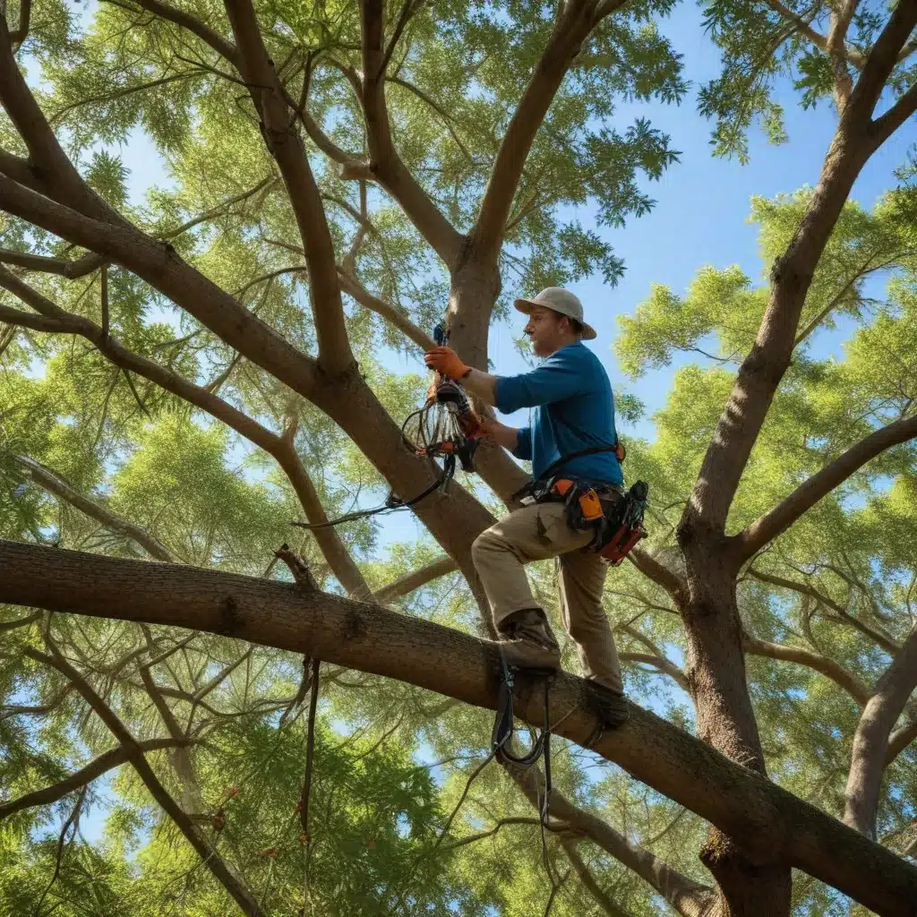 Pruning Strategies for Healthy and Vibrant Florida Trees