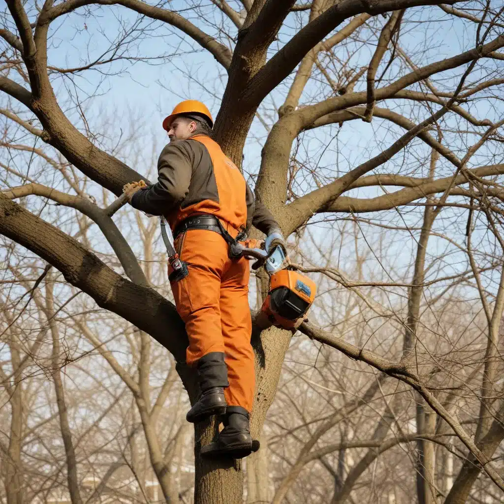 Pruning for Perfection: Mastering the Art of Tree Trimming