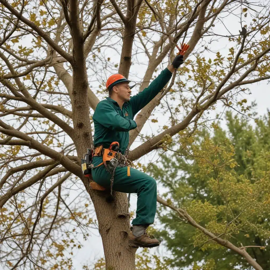 Pruning for Perfection: Mastering the Art of Tree Trimming