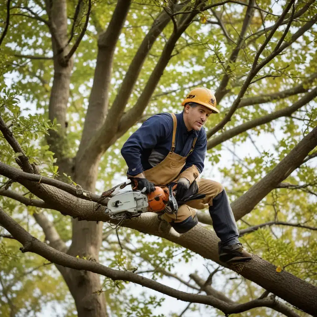 Rejuvenating Your Trees: The Transformative Power of Pruning