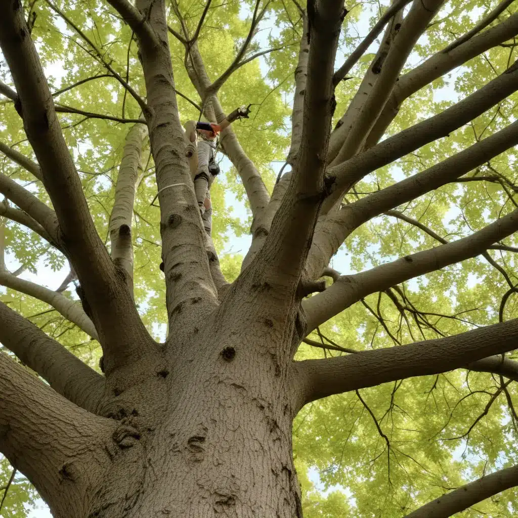 Reviving Ailing Trees: Diagnosing and Treating Common Health Concerns