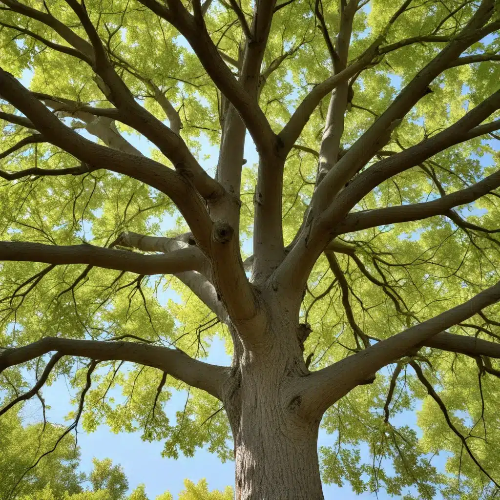 Reviving Ailing Trees: Diagnosing and Treating Common Tree Ailments