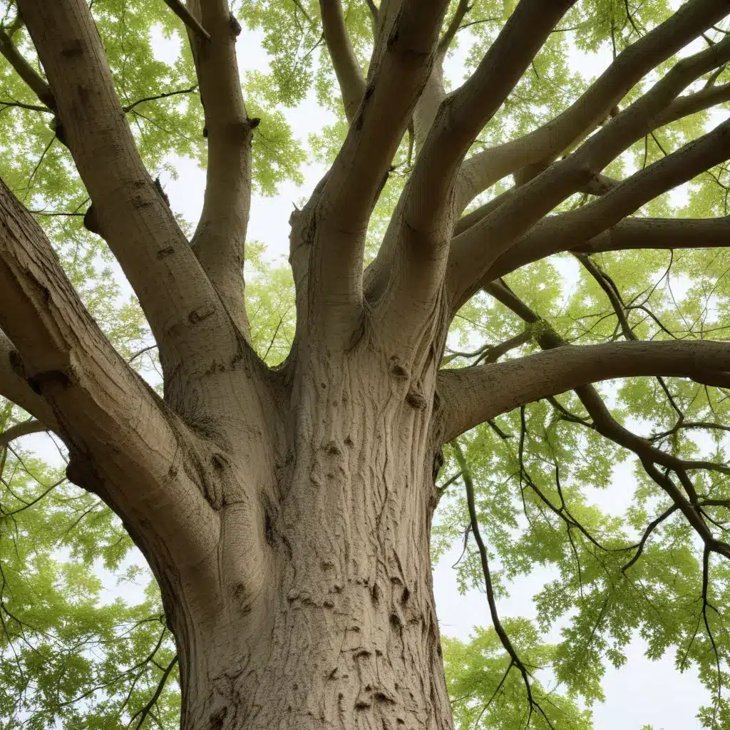 Reviving Ailing Trees: Expert Diagnosis and Tailored Treatment Plans