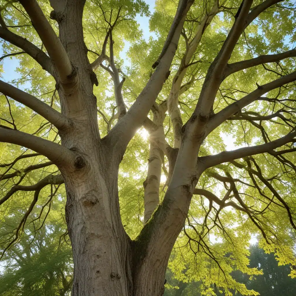 Reviving Ailing Trees: Identifying and Treating Common Health Concerns