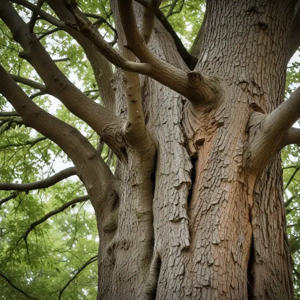 Safeguarding Your Trees: Strategies for Storm Damage Prevention