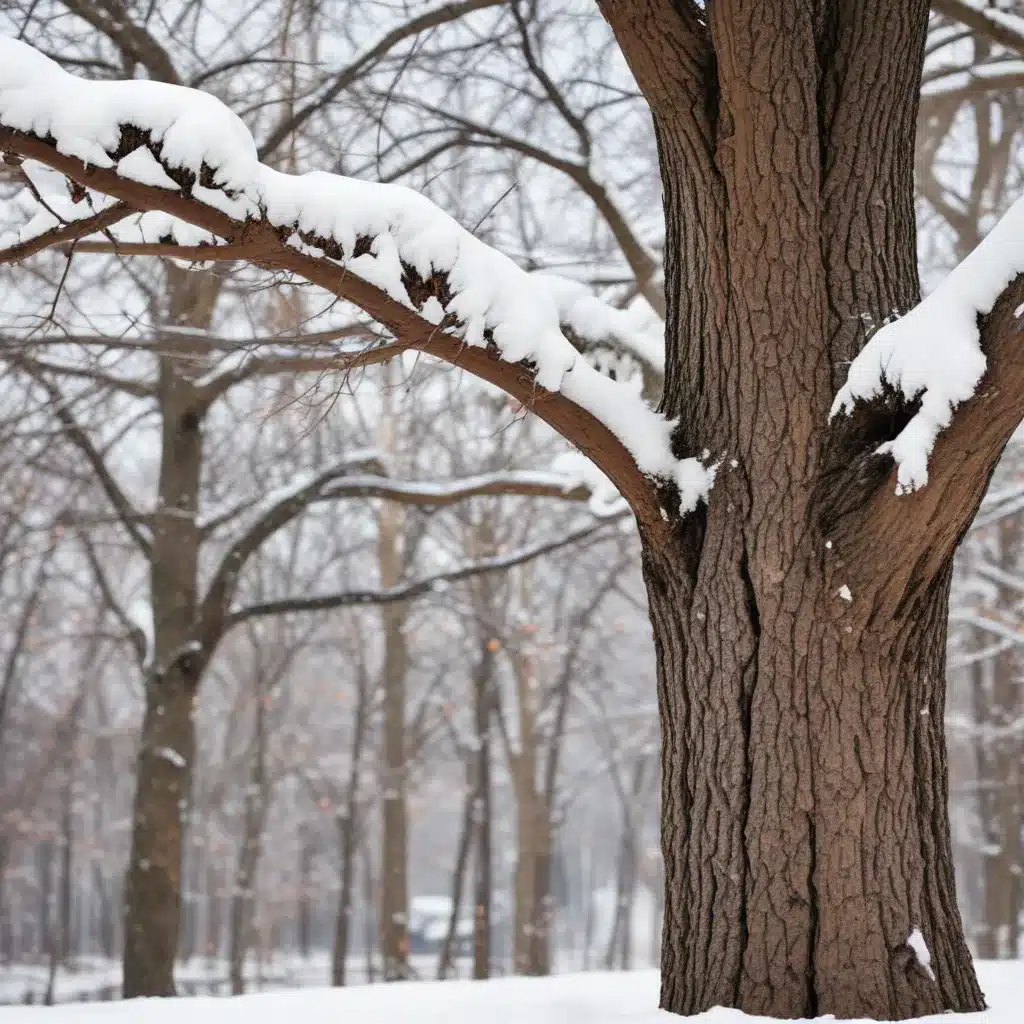 Safeguarding Your Trees from Winter Damage: A Comprehensive Guide