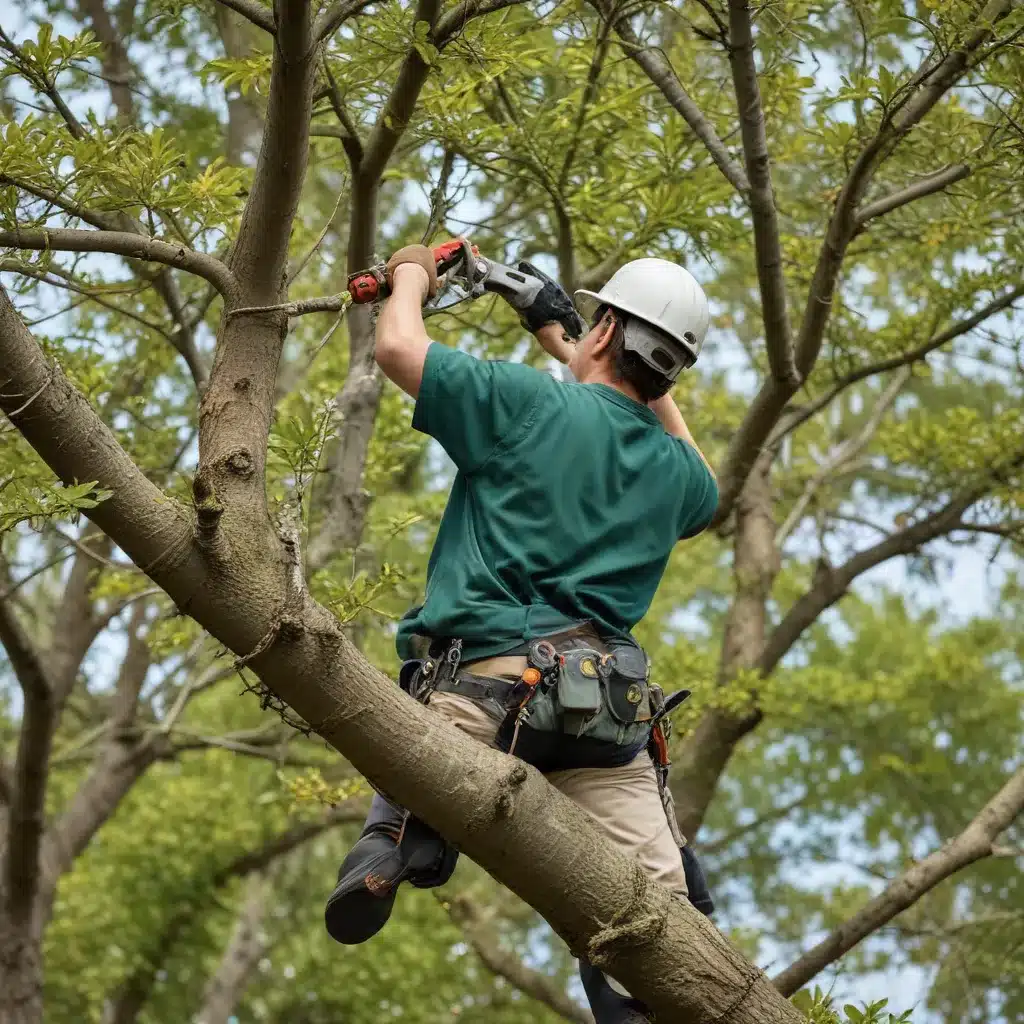 Seasonal Pruning: Timing and Techniques for Optimal Tree Health