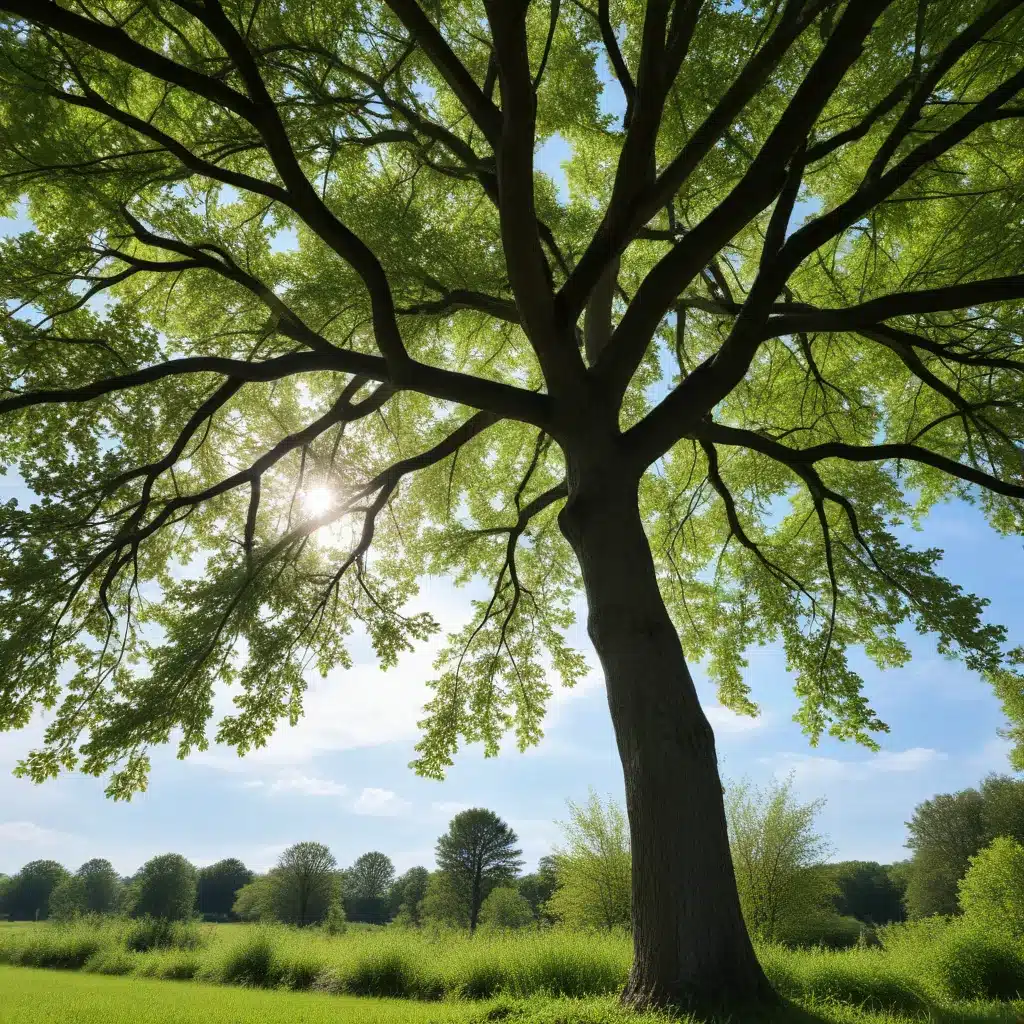 Shade Savers: Protecting Tree Canopy in the Face of Development