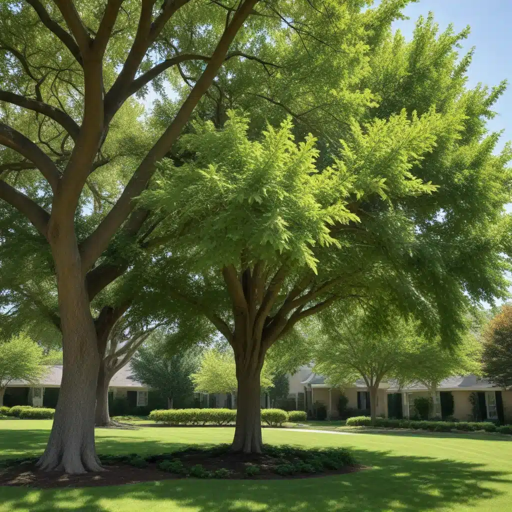 Shade Solutions: Selecting and Positioning Trees to Provide Cooling Relief