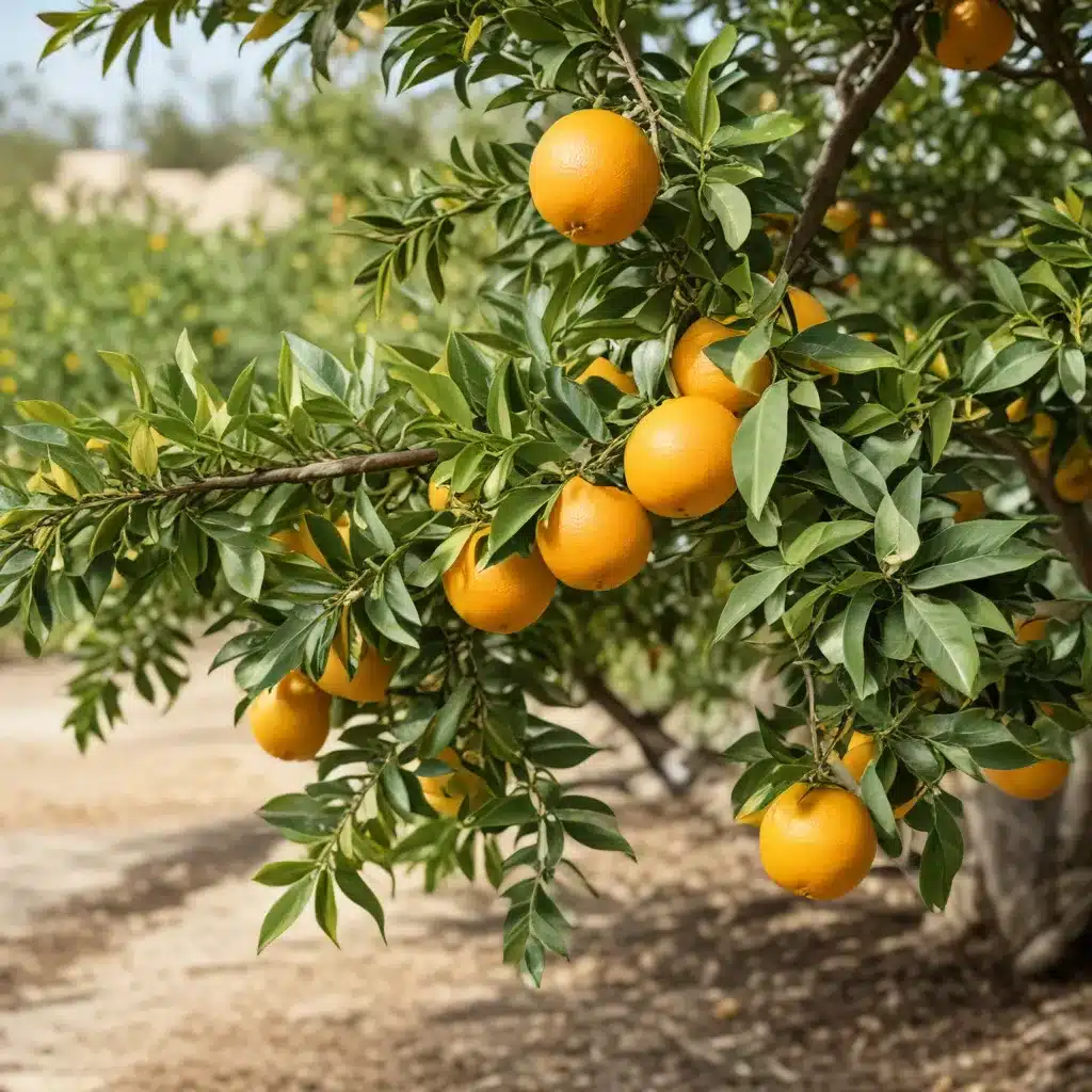 The Citrus Greening Crisis: Navigating the Challenges for Homeowners