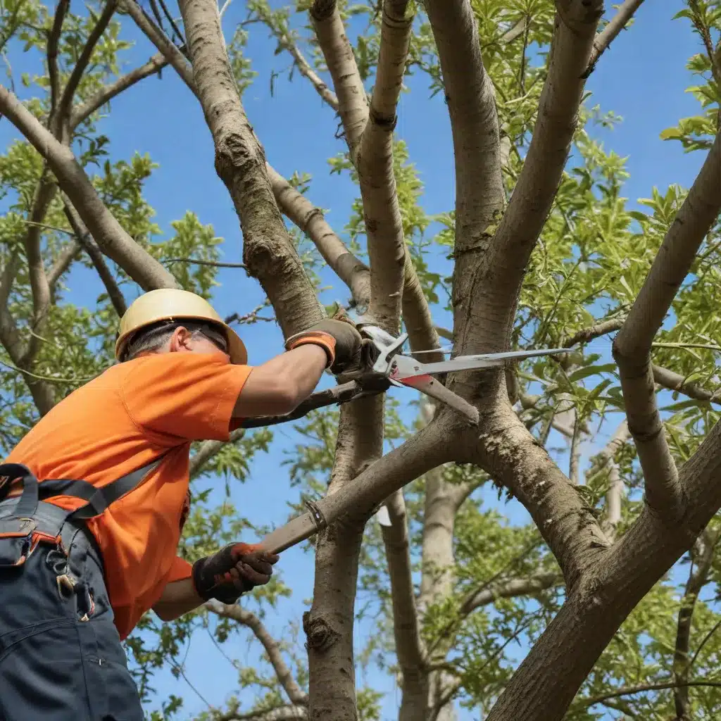 Trimming Troubles: Avoiding Common Mistakes in Tree Pruning and Maintenance