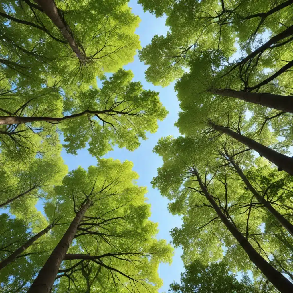 Uncovering Tree Canopy Benefits: Improving Air Quality and Beyond