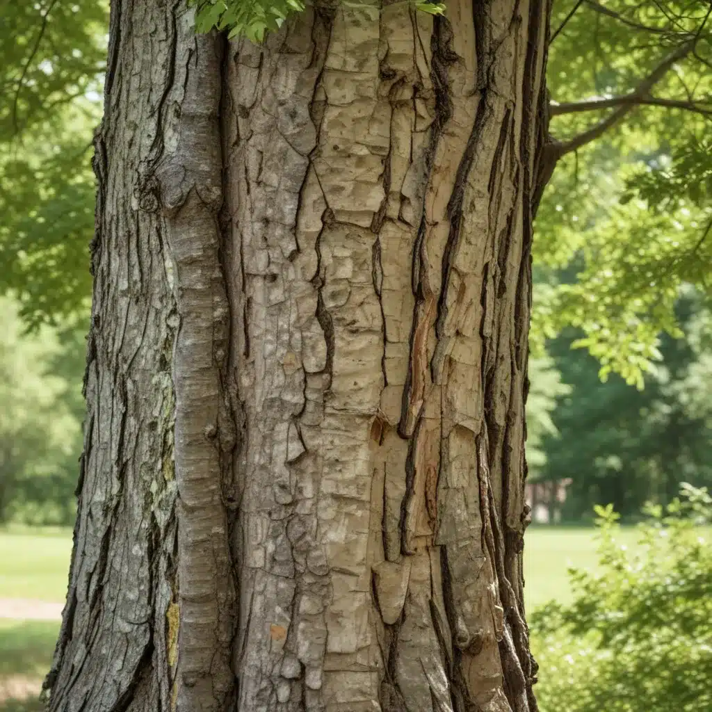 Uncovering Tree Diseases: Early Identification and Treatment Strategies