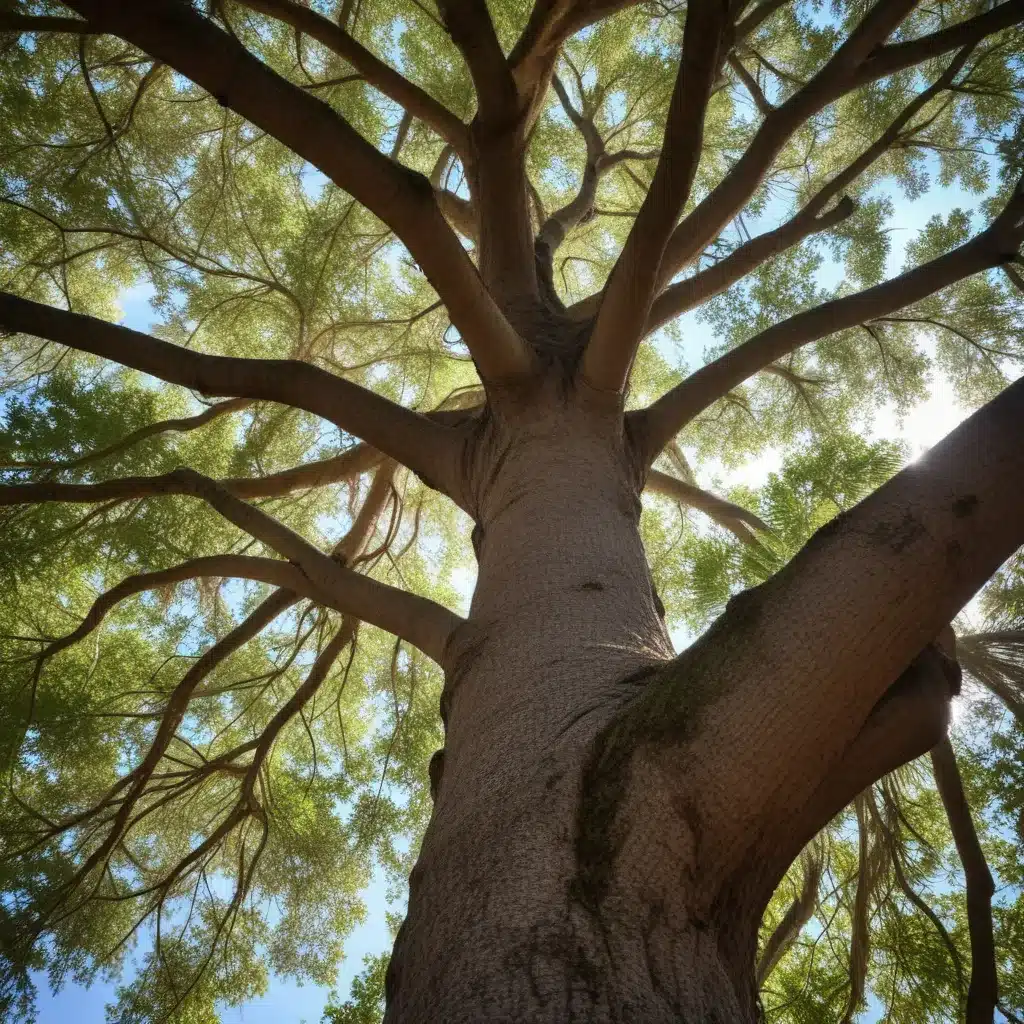 Uncovering the Environmental Benefits of Trees in Florida