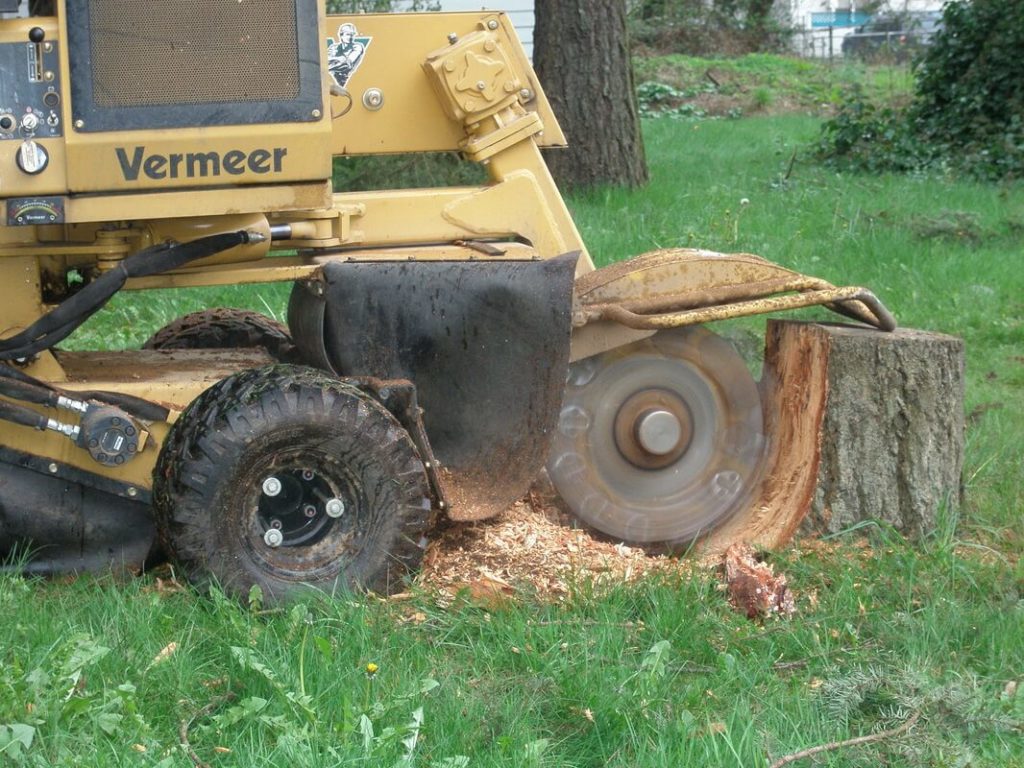 stump-grinding-1024x768